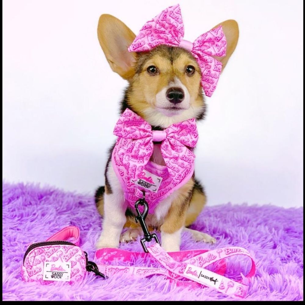 Barbie Sassy Woof Dog Adjustable Harness Size: LG With 60” Leash!!